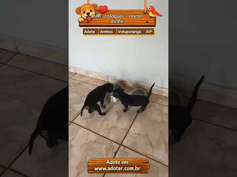 Vídeo de não coloquei nome ainda 