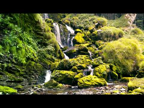 Psalm 2 Audiobook with Nature Sounds (Treasury of David by Spurgeon)