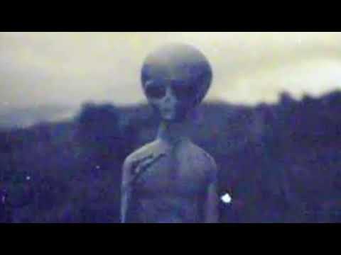 Destroyman_ - "Pool Of Fools" Ft. LocalBlac