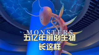 来这里你可以和五亿年前的古生物面对面，感受时间的沉淀的震撼