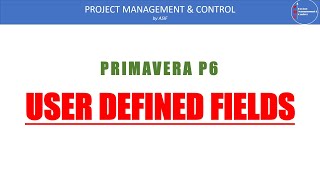 User Defined Fields in Primavera
