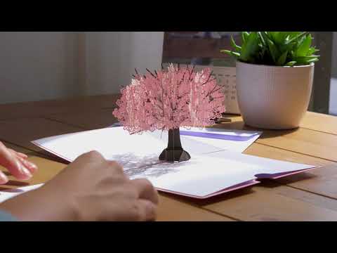 download lagu mp3 mp4 Lovepop Cherry Blossom Card, download lagu Lovepop Cherry Blossom Card gratis, unduh video klip Lovepop Cherry Blossom Card