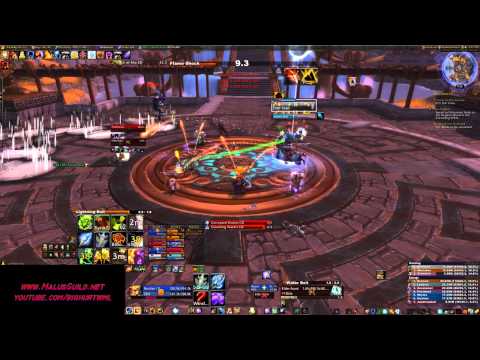 Malus Protectors of the Endless 10m Normal Elite Mode Kill