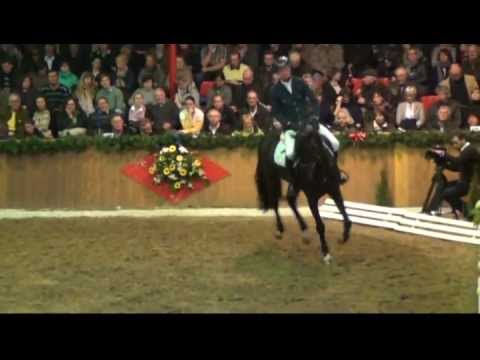 Diarado von Diamant de Semilly