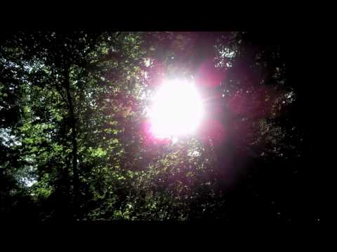 pablo gad crazy in dub