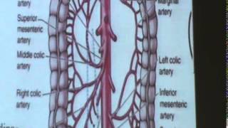 Dr  Shreen 05 03 2015