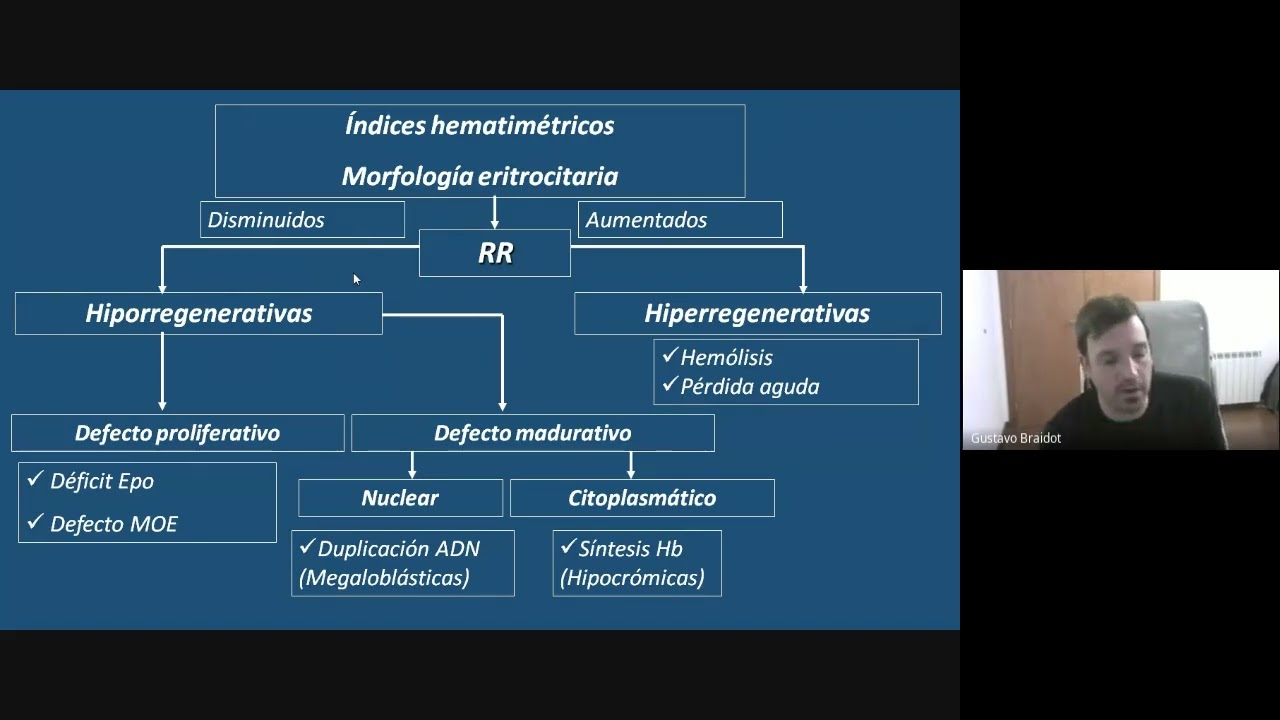 Clase de Repaso Clínica Médica - Anemias y Consultas sobre Hematología - Dr Gustavo Braidot