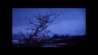 Foehn - We Fell