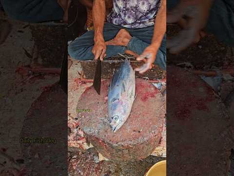 Unbelievable!! Tuna Fish Cutting Skills Technique 😱😳 #shorts