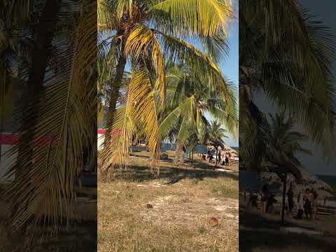 Cómo está la playa de Caibarién en la costa centro norte de Cuba.