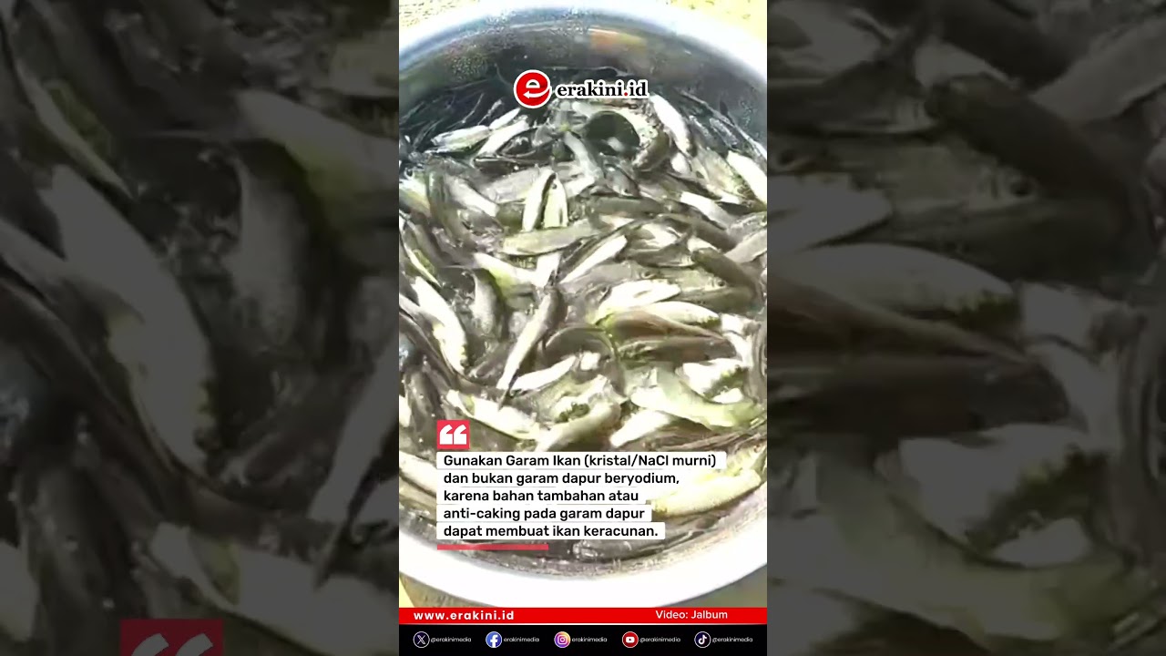 Ikan Ditaburi Garam Ternyata Ini Tujuannya