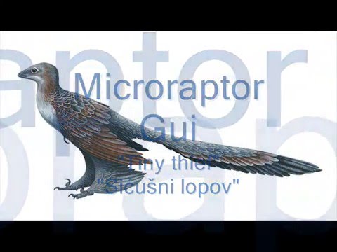 Dino Profile - Microraptor Gui (Ep. 3.)