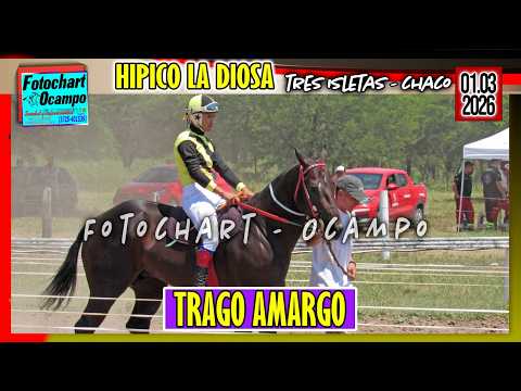 TRAGO AMARGO Tres Isletas CH 01 03 2026