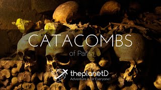 Paris Underground: The Catacombs Tour