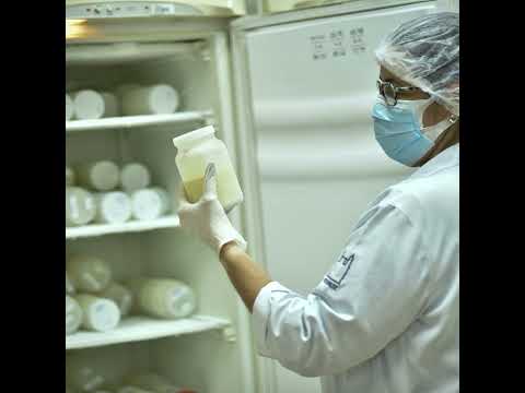 Video Thumbnail: Brasilien - Muttermilchbanken setzen auf Solidarität