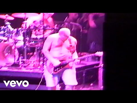 Videoclip de 40 Oz. To Freedom (Live At The Palace/1995) — Sublime