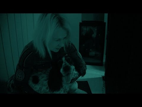The night vision test - Cats v Dogs: Which is Best? Episode 1 ...