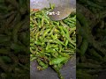 Mirchi Ka Achaar Homemade Delicious Desi Food Recipe Reel