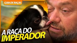 Miniatura do vídeo
