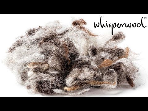 Whisperwool – the flying sheep