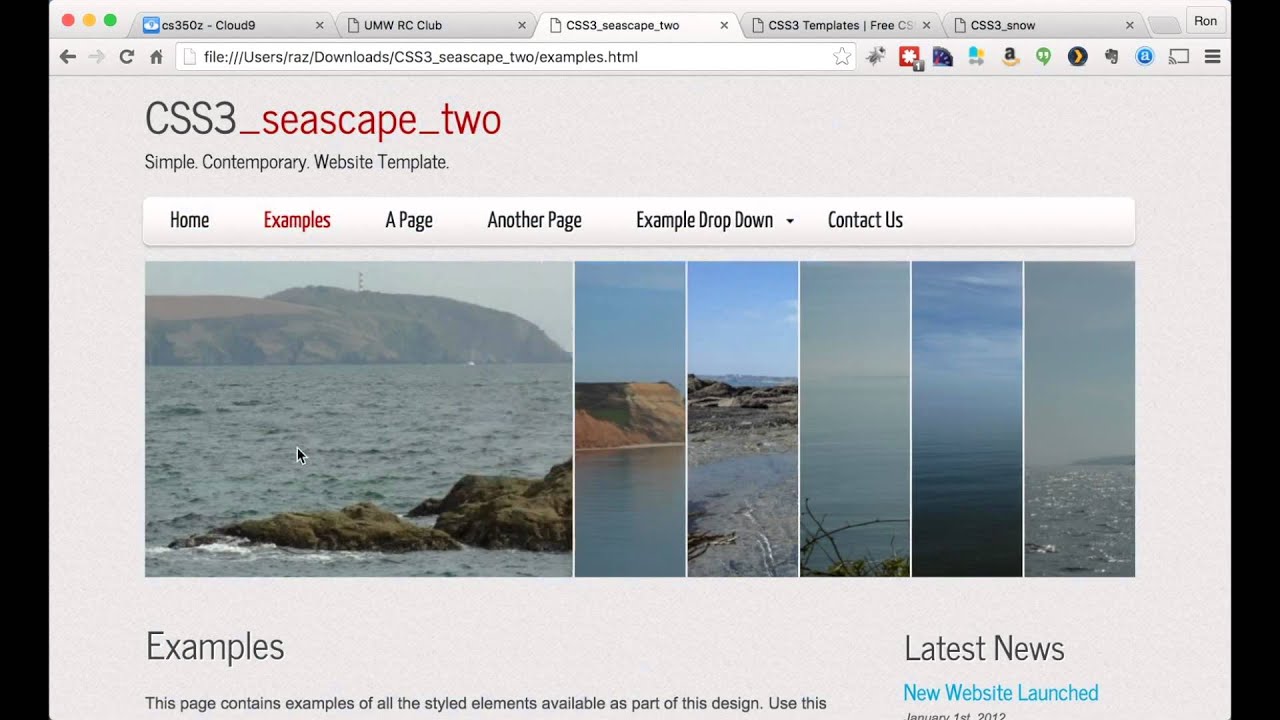 Flask Template Basics