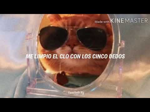 Me limpio el culo con los cinco dedos