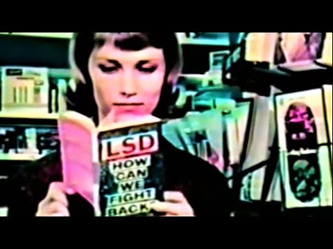 The Shag - Stop and Listen