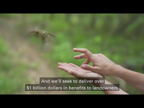 bp ventures and Finite Carbon short