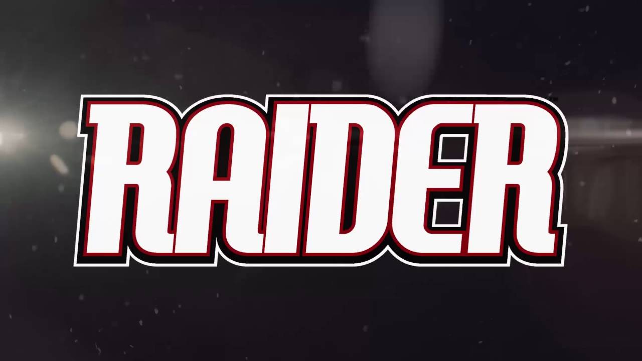 RC auto Raider Mega DB