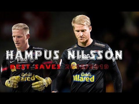 Hampus Nilsson | Best Saves 2018/2019 | Falkenbergs FF