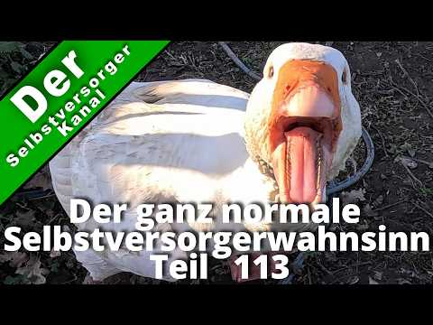 Selbstversorgerwahnsinn: Teil 113 – Freude & Herausforderung