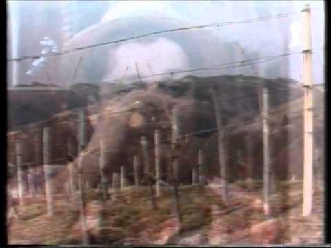 Ans-Prerod-Luka na Haloški trgatvi