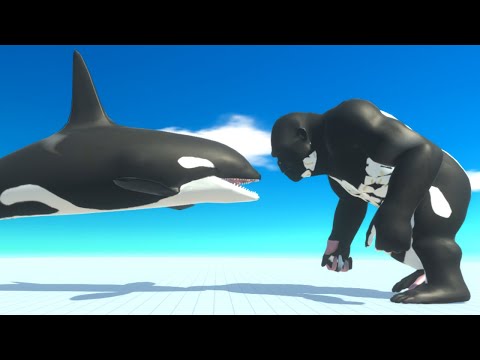 Orca Skin Tournament. Who wears it better? - Animal Revolt Battle Simulator