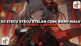 Download lagu DJ STECU STECU SETELAN CUEK BARU MALU (Slowed & Reverb) Viral Tiktok 🔥😈 mp3 Download lagu DJ STECU STECU SETELAN CUEK BARU MALU (Slowed & Reverb) Viral Tiktok 🔥😈 mp3