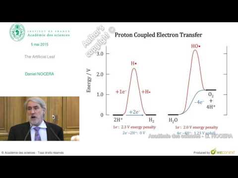 [EN] Conference - Daniel NOCERA - The Artificial Leaf - Académie des sciences