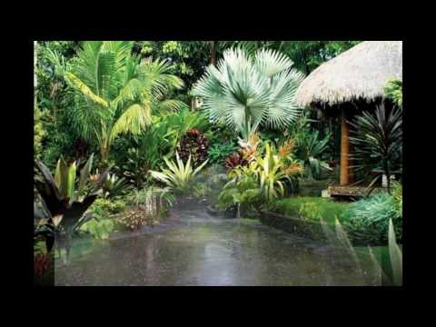 Ideas para jardines tropicales