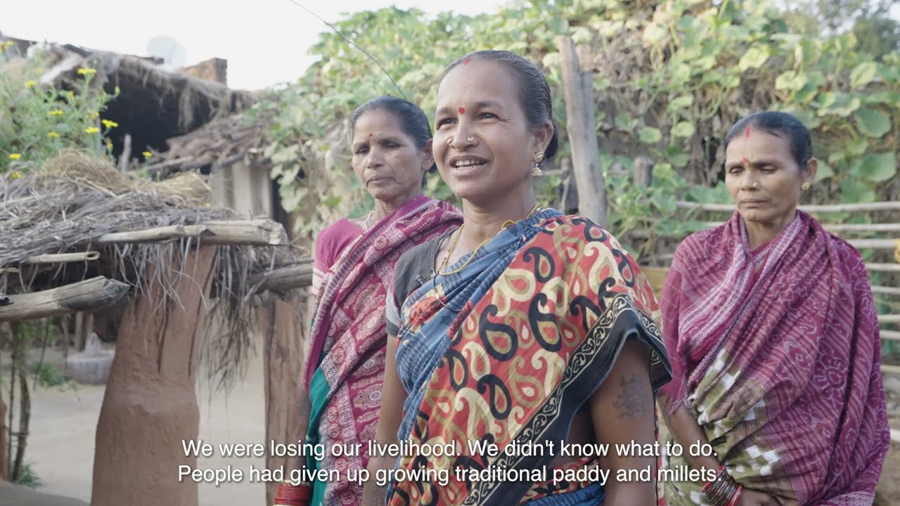 Harvest of Hope - Community Empowerment Film