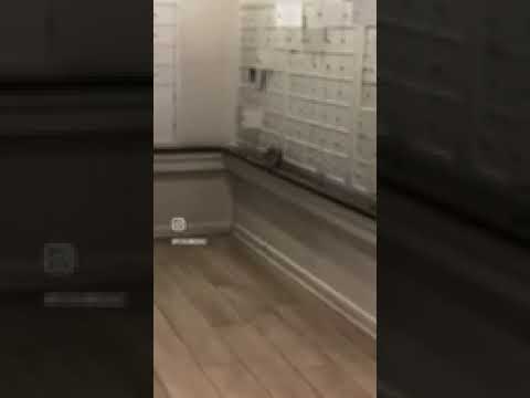 District of Columbia Department of Consumer and Regulatory Affairs - Rats in my... - Image 3