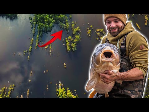 Hook & Hold EXTREME 🪵 at Rainbow Lake | Carp fishing with Brocke