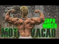 NÃO ABANDONE SEUS SONHOS! - Motivação Bodybuilding 2020