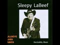 Sleepy LaBeef - Make room for the blues