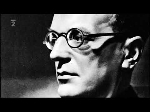 Kolaborovali s nacisty - Anton Mussert