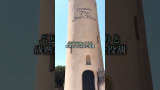 シャトーヌフドパプ #Châteauneufdupape #Côtesdurhône #ローヌワイン