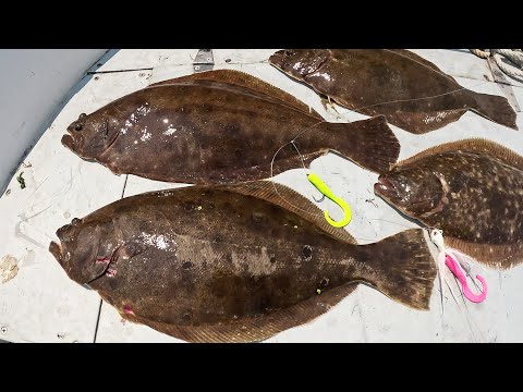 Caught My Fluke Limit, But Are Commercial Draggers Hurting the Fishing?
