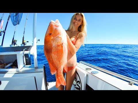 FISHING FOR GIANT REDS Illegal Aquarium Coral Trade??  - Ep 103