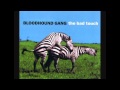 Bloodhound Gang - The Bad Touch (The Eiffel ...
