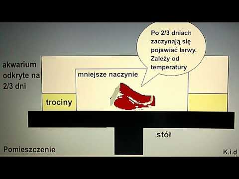 Ćwiczenia na mięśnie pleców dla kobiet Dyskomfort w mięśniach karku