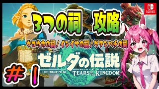 【ゼルダの伝説／TEARS OF THE KINGDOM /女性配信】初見さんも気軽にコメントしてください