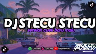 Download lagu DJ STECU STECU | JUAL MAHAL DIKIT KAN BISA COBA KASIH EFFORT NYA SAJA | DJ VIRAL FYP BY RULLY FVNKY mp3