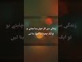 Whatsapp Status Islamic Status Status Video New Status Sad Status Shayari Status Old Status
